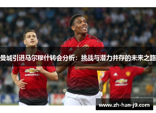 曼城引进马尔穆什转会分析：挑战与潜力并存的未来之路